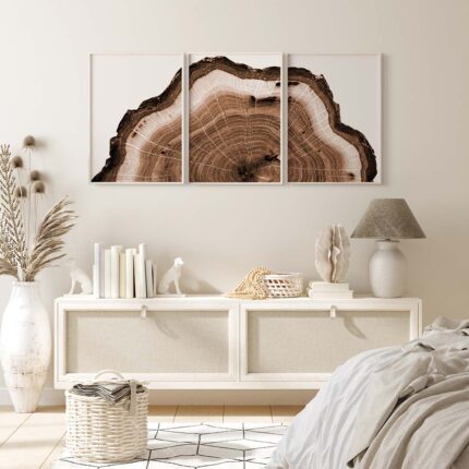 Tree Ring Triptych | Splikt Art | Set of 3